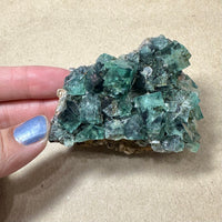 Hidden Forest Green Daylight UV Fluorite “B” Mineral Specimen (Diana Maria Mine, Weardale, England)
