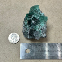 Hidden Forest Green Daylight UV Fluorite “D” Mineral Specimen (Diana Maria Mine, Weardale, England)

