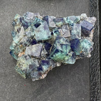 Hidden Forest Green Daylight UV Fluorite “B” Mineral Specimen (Diana Maria Mine, Weardale, England)