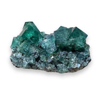 Hidden Forest Green Daylight UV Fluorite Galena “C” Mineral Specimen (Diana Maria Mine, Weardale, England)