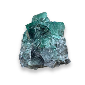 Hidden Forest Green Daylight UV Fluorite “D” Mineral Specimen (Diana Maria Mine, Weardale, England)