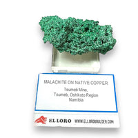 Malachite on Native Copper Rare High Quality Tsumeb Mine Oshikoto Region Namibia