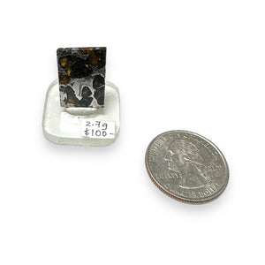 Seymchan Pallasite Meteorite Nickel Iron Metallic with Olivine Windows Mini Polished Slice (Russia)