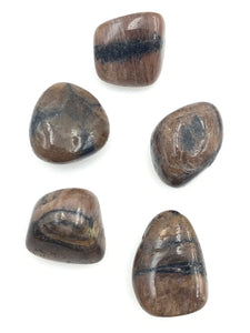 Andalusite (Chiastolite) (1) Tumbled Stone
