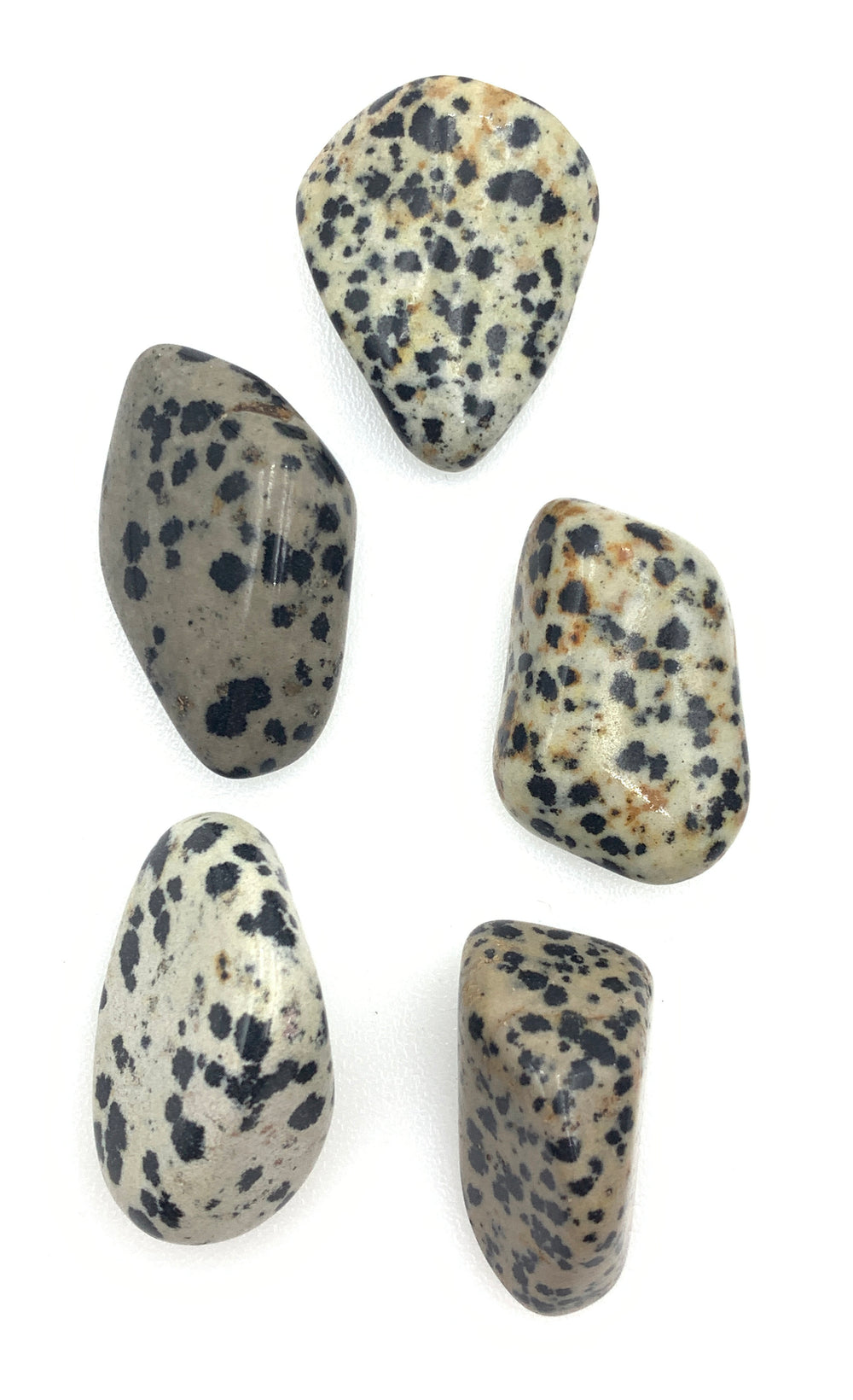 Dalmatian Stone (1) Tumbled Stone