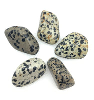 Dalmatian Stone (1) Tumbled Stone
