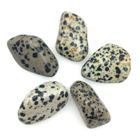 Dalmatian Stone (1) Tumbled Stone