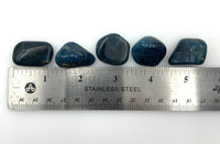 Blue Apatite (1) Tumbled Stone
