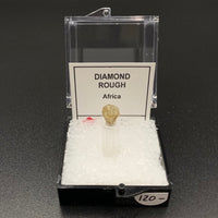 Diamond #1 Rough Thumbnail Specimen (Africa)
