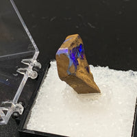 Boulder Opal #7 Mounted Thumbnail Specimen (Queensland, Australia)