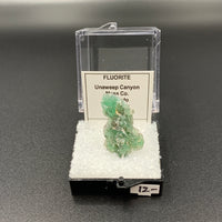 Fluorite #2 Thumbnail Specimen (Unaweep Canyon, CO, USA)
