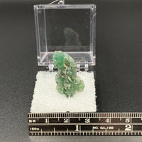 Fluorite #2 Thumbnail Specimen (Unaweep Canyon, CO, USA)
