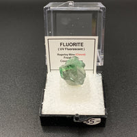 Fluorite #5 Thumbnail Specimen (Rogerley Mine, UK)
