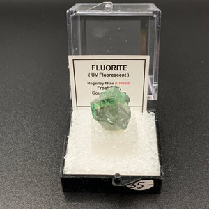 Fluorite #5 Thumbnail Specimen (Rogerley Mine, UK)