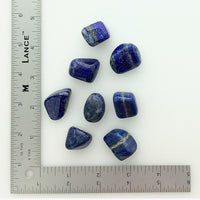 Lapis Lazuli (1) Polished Tumbled Stone India
