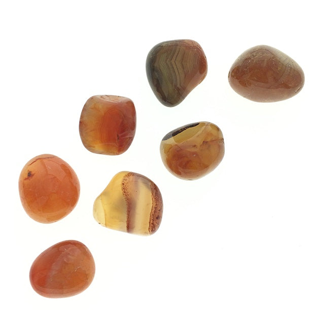 Carnelian (1) Red Orange Agate Polished Tumbled Stone (Heat Enhanced)