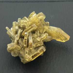 Barite Golden Blades Unpolished Crystal Cluster Mineral Specimen (Morocco)