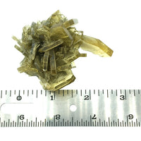 Barite Golden Blades Unpolished Crystal Cluster Mineral Specimen (Morocco)
