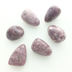 Lepidolite (1) Polished Tumbled Stone China