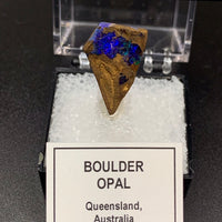 Boulder Opal #7 Mounted Thumbnail Specimen (Queensland, Australia)
