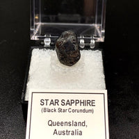 Star Sapphire #2 Black Corundum Thumbnail Specimen (Queensland, Australia)
