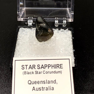 Star Sapphire #3 Black Corundum Thumbnail Specimen (Queensland, Australia)