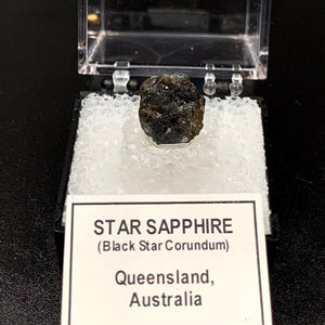 Star Sapphire #4 Black Corundum Thumbnail Specimen (Queensland, Australia)