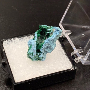 Shattuckite and Malachite #4 Thumbnail Specimen (Kaokoveld Plateau, Namibia)