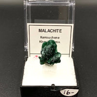 Malachite #3 Thumbnail Specimen (Kerrouchene, Morocco)