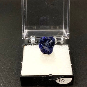 Azurite #11 Thumbnail Specimen (Kerrouchene, Morocco)