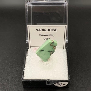 Variquoise #12 Thumbnail Specimen (Snowville, Utah, USA)