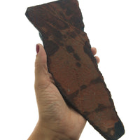 Black Jade Nephrite Iguana Lizard Handcarved Polished Carving Stone Art Australia USA