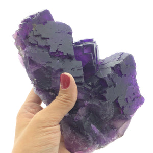 Fluorite Purple Cubic Crystals XL Cabinet Unpolished Crystal Cluster Cave-in-Rock Illinois USA