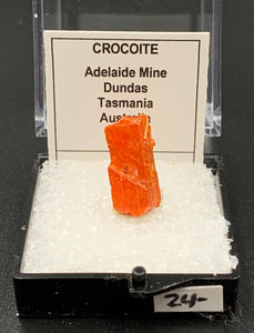 Crocoite #5 (Adelaide Mine, Tasmania)