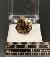 Astrophyllite #4 Thumbnail Specimen (Khibiny Massif, Russia)
