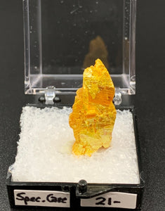 Orpiment #3 Special Care Thumbnail Specimen (Senduchen, Russia)