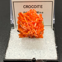 Crocoite #10 (Adelaide Mine, Tasmania)