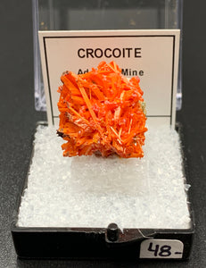 Crocoite #10 (Adelaide Mine, Tasmania)