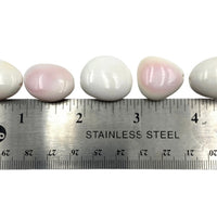Pink Conch Shell Bead (1) Tumbled Polished Shell