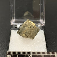 Pyrite #3 Thumbnail Specimen (Alice Mine, CO, USA)
