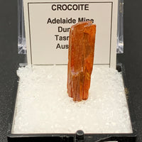 Crocoite #2 (Adelaide Mine, Tasmania)