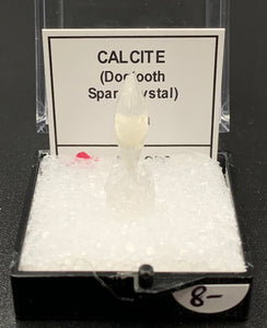 Calcite Dogtooth #3 (India)