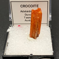 Crocoite #3 (Adelaide Mine, Tasmania)