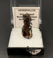 Astrophyllite #3 Thumbnail Specimen (Khibiny Massif, Russia)
