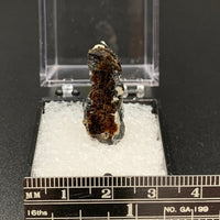 Astrophyllite #3 Thumbnail Specimen (Khibiny Massif, Russia)