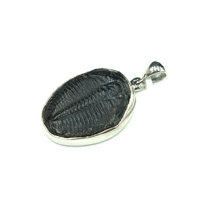 Trilobite Natural Fossil Slice Sterling Silver Pendant