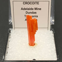 Crocoite #1 (Adelaide Mine, Tasmania)