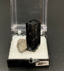 Schorl #1 Quartz Thumbnail Specimen (Karibib, Erongo, Namibia)