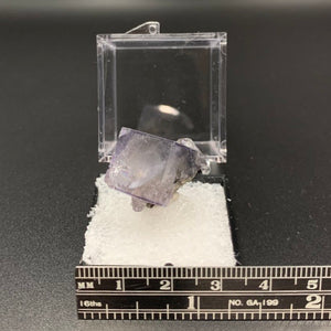 Fluorite #9 Thumbnail Specimen (Yaogangxian Mine, China)