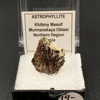 Astrophyllite #4 Thumbnail Specimen (Khibiny Massif, Russia)